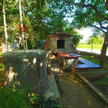 Apartment Sanja Near The Sea, Spacious And Green :) Pula Bagian luar foto